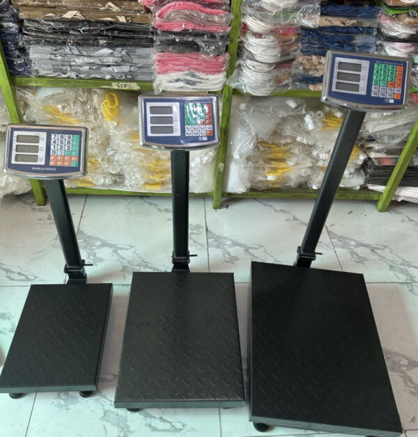 Digital Electronics Weighing Scale