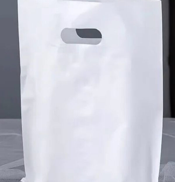 Polythene Bag